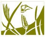 Tracey Arial's Logo