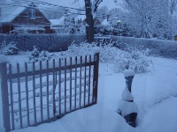 backyard in the winter